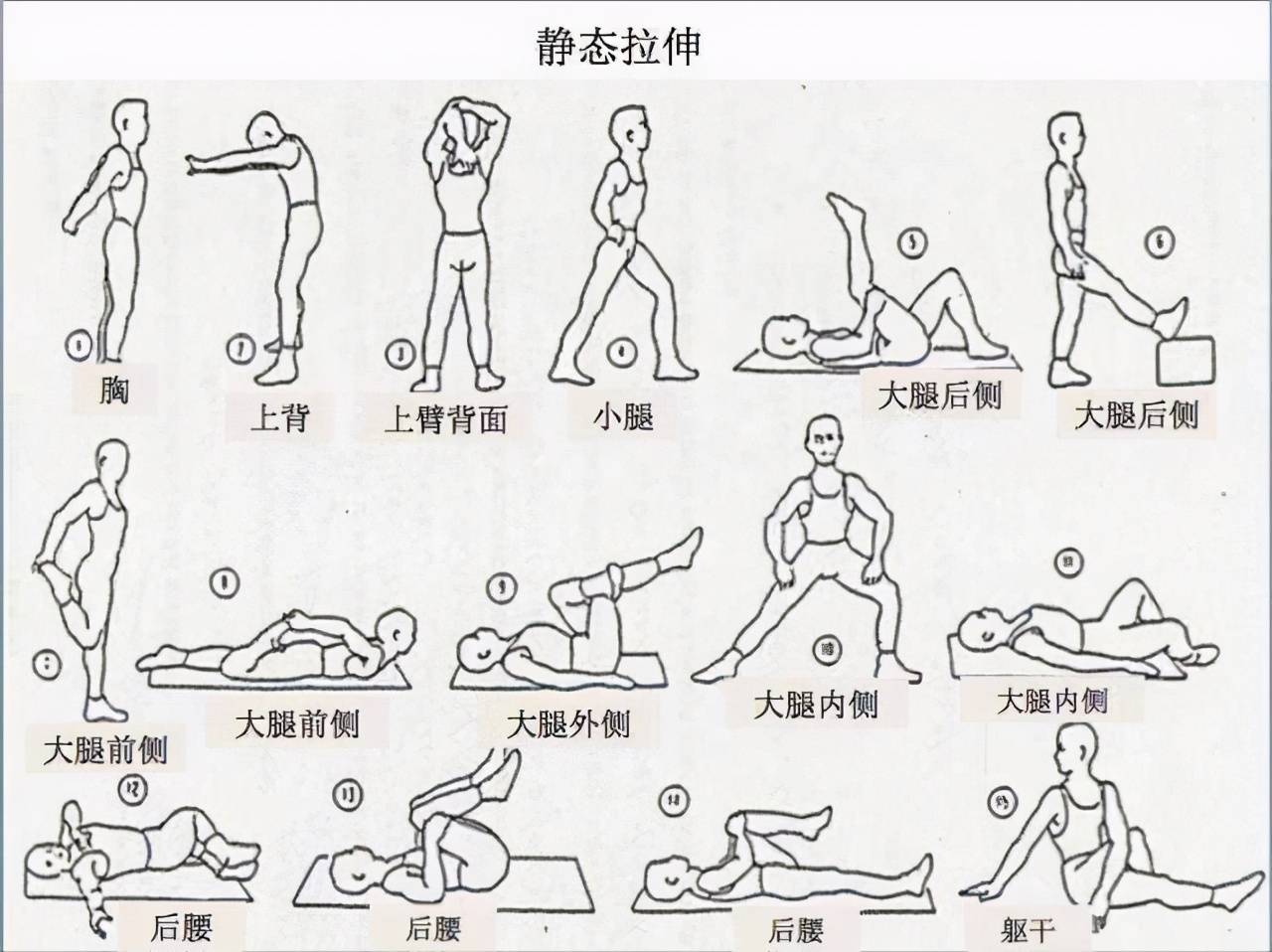 ▼静态拉伸动作推荐