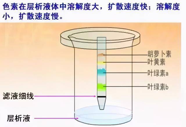 水变成白色的雾气是什么原理_什么颜色能变成白色