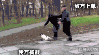 版本更新|王者荣耀：看懂这些梗的，三年老玩家起步！你能看懂几个？