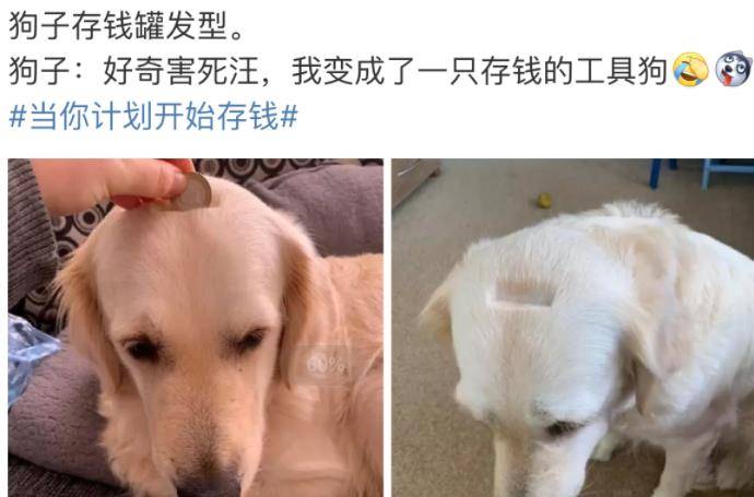 老婆是个母老虎视频 6d9d331128c245528d9ac0ac1c49a567.jpeg