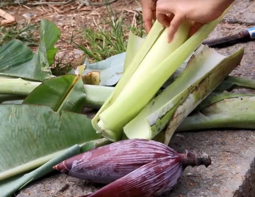 包烧才是傣族美食精华:没吃过这几种美食千万别说来过版纳