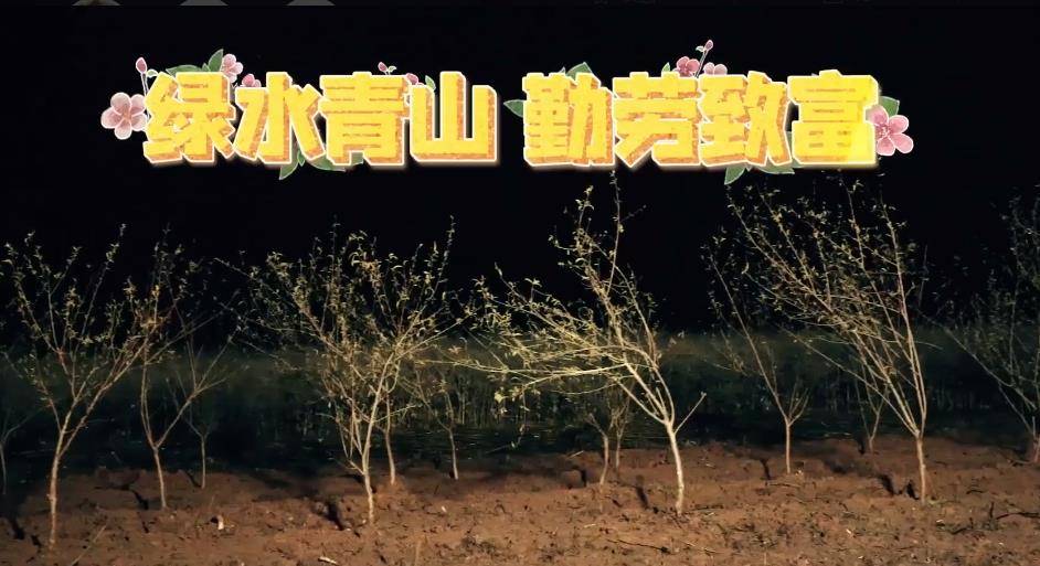 如何种植蘑菇屋 0b7a22230f1045b4adde0c5e045eb023.jpeg