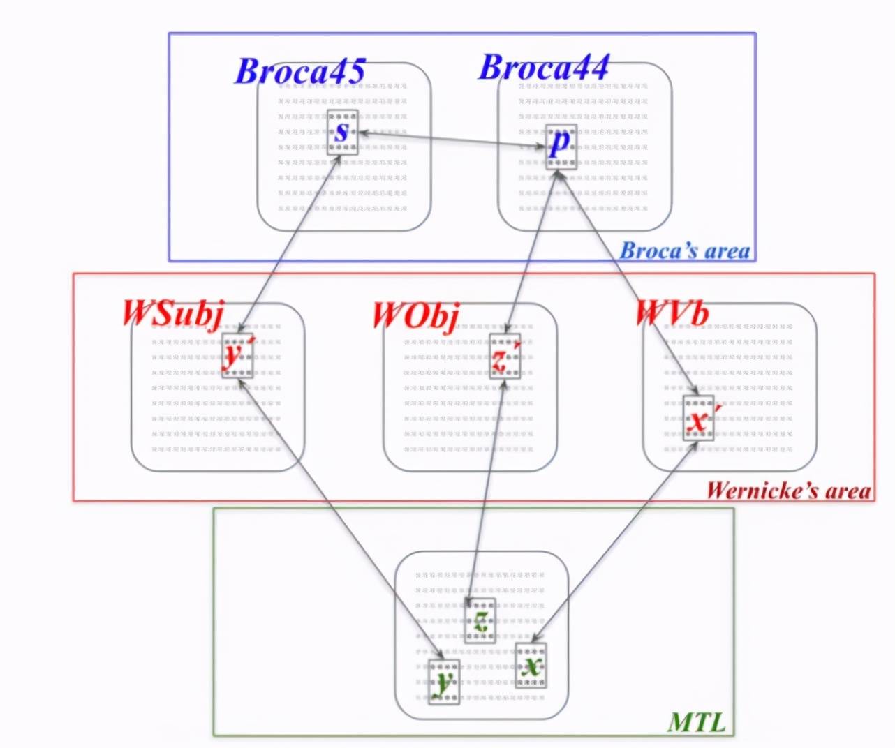 模拟|大脑模拟NLP，高德纳奖得主：神经元集合演算用于句子解析