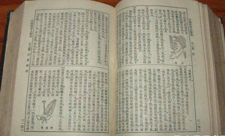 最早收录燕窝的现代医学辞书《中国医学大辞典》民国十年(1921年)谢观