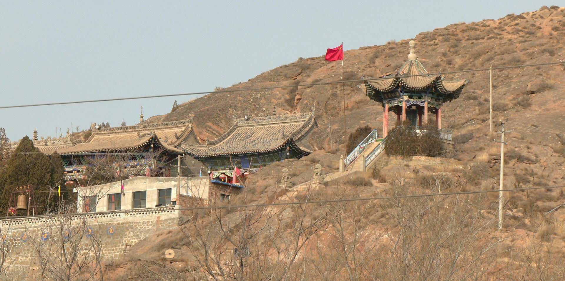 打拉池最后,我想讲个故事.即是地震中杨树鞭地的故事.