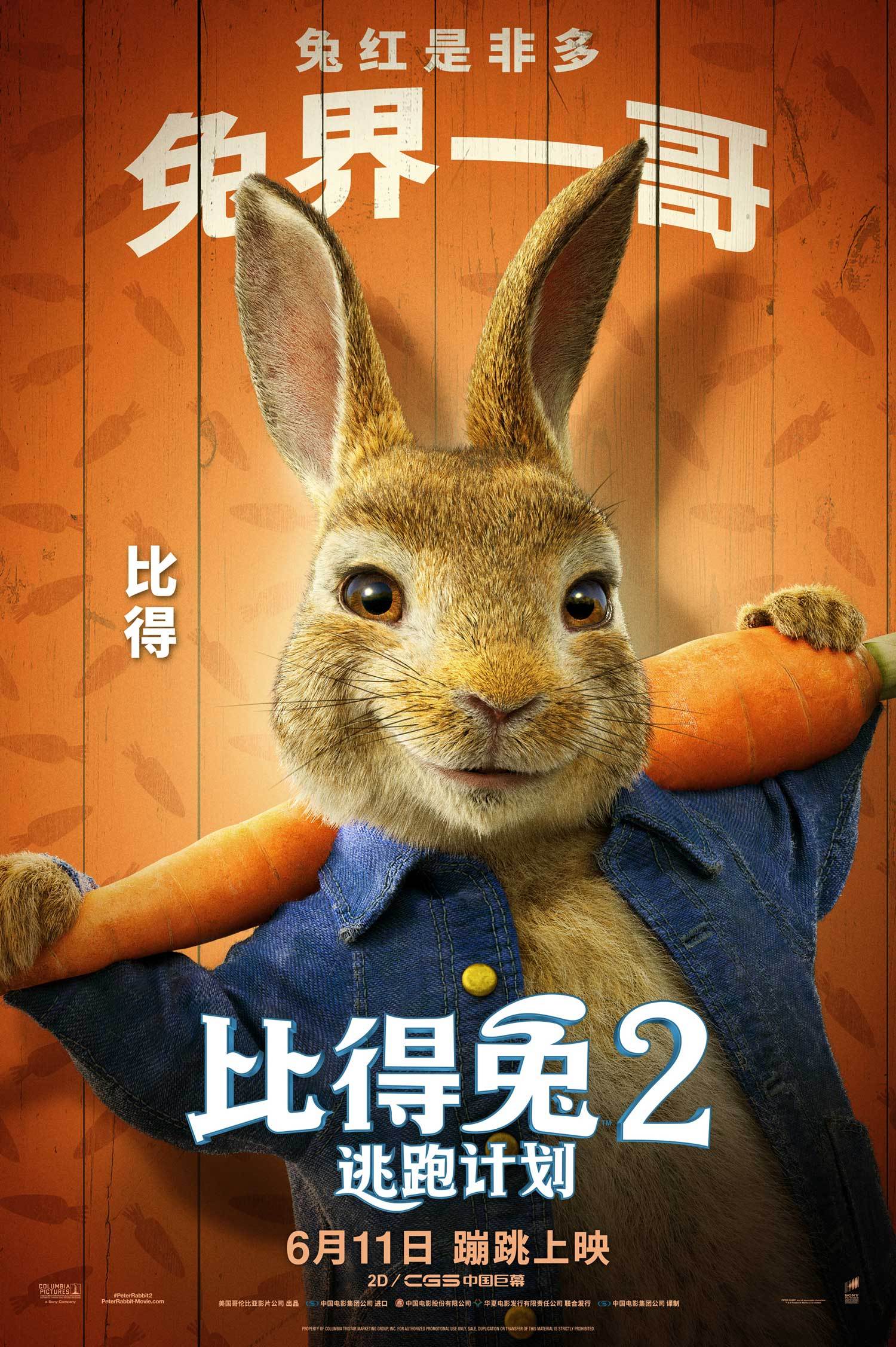 《比得兔2：逃跑计划》萌兔天团激萌登场 笑点频出治愈不开心