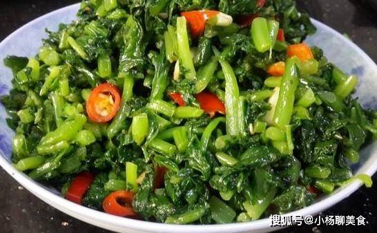 现在种什么青菜适合 0b0859e76baf41b3b97d431387b8e571.jpeg