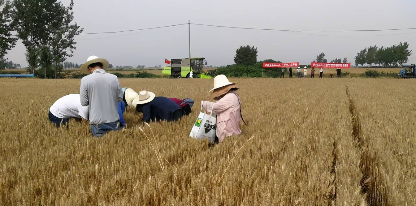 卧龙新能多措并举 稳步推进业务转型