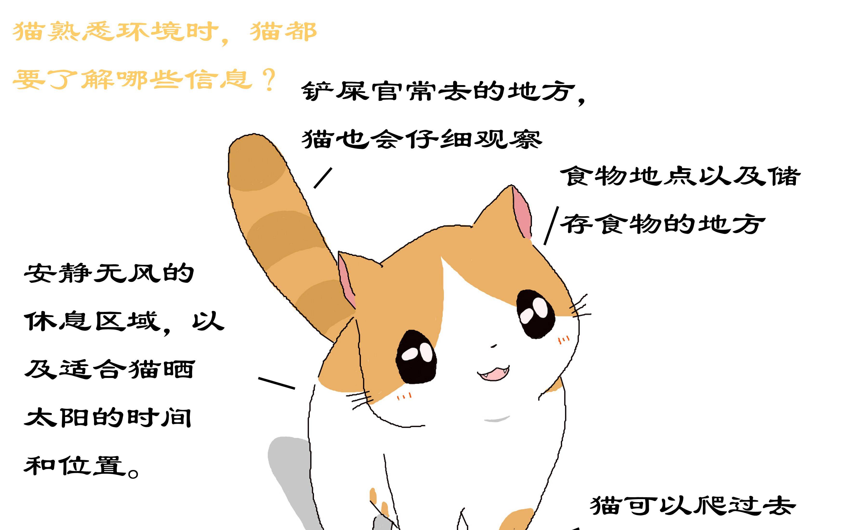 38bf5d8df426480cbadc2f9a56ef67ea.jpeg