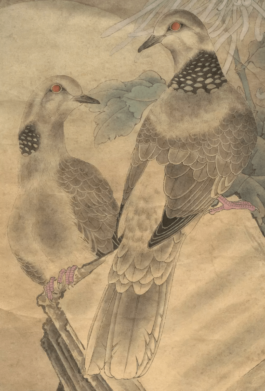 工笔《斑鸠》设色技法!