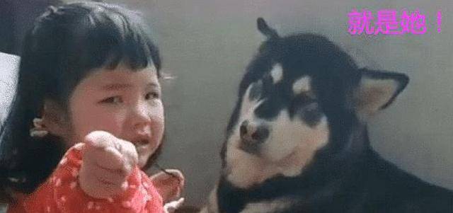 小主人被揍，小主人找狗狗幫忙，狗狗看了女主一眼表示：無能為力 萌趣萌寵 第1张