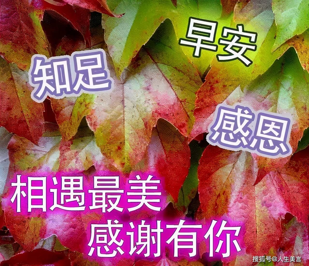 早上问候语带字祝福图片,唯美暖心的早安心语