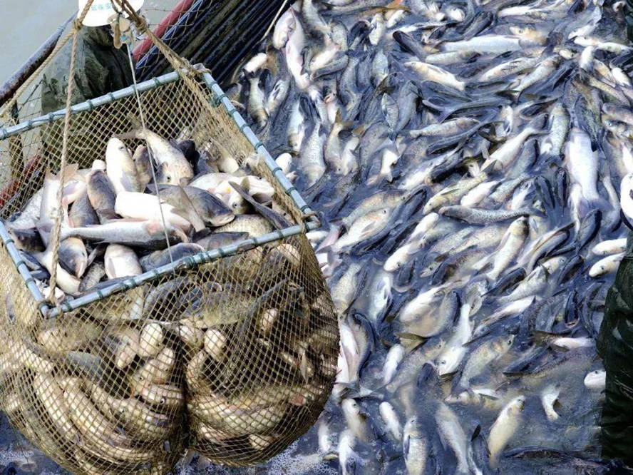 宿鴨湖水庫位於駐馬店市汝南縣西部,被列為亞洲最大的平原人工湖泊