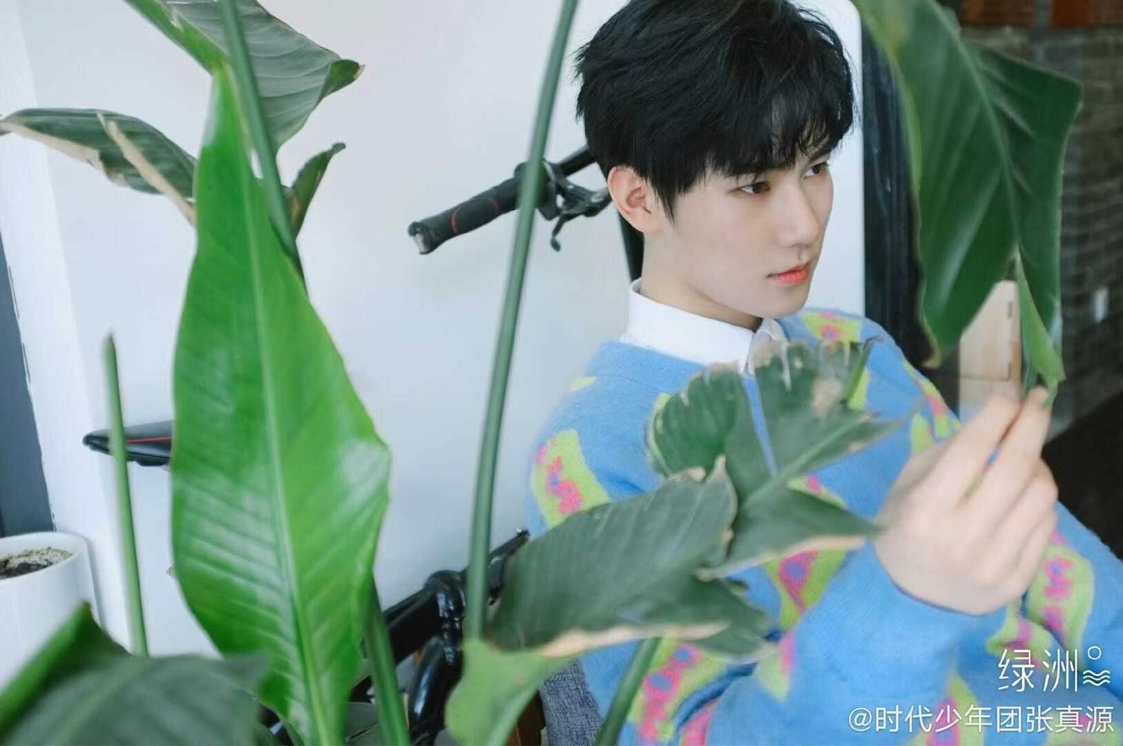 能量偶像人物志:青山一道同云雨,明月何曾是两乡——张真源