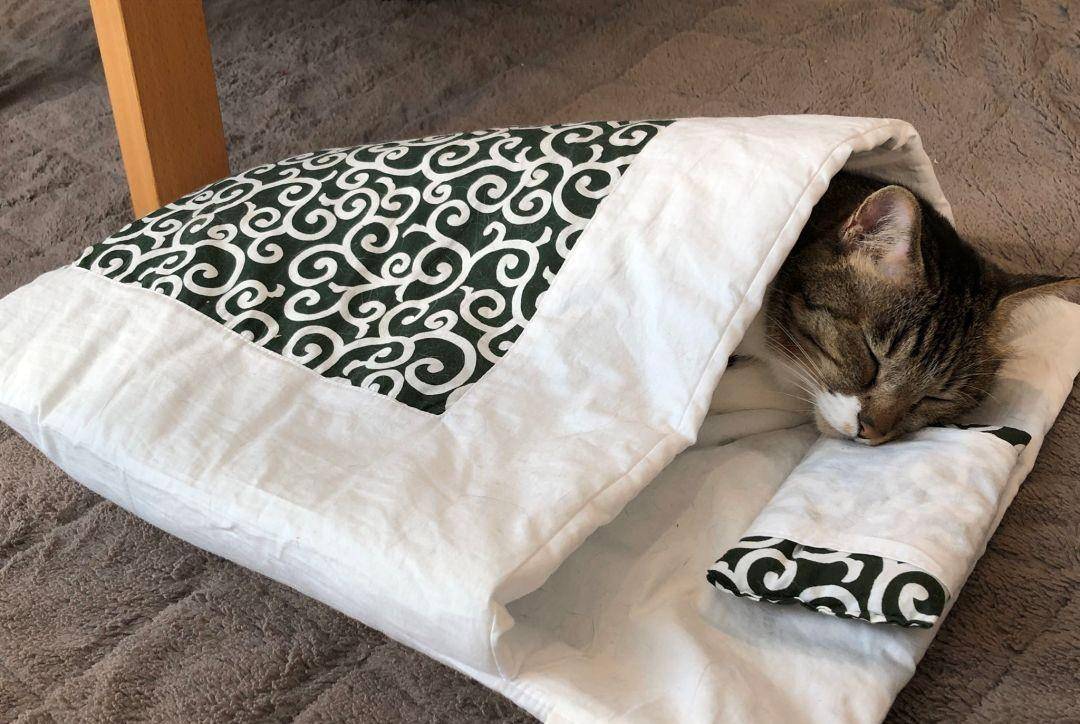 棉被怎么制作视频教程 48aa1732a76644d5b0279c56272a620e.jpeg