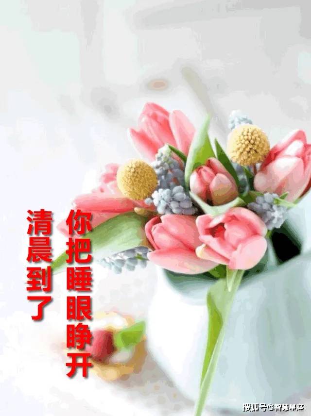 69038fb8de184014a0055b6019c88477.jpeg