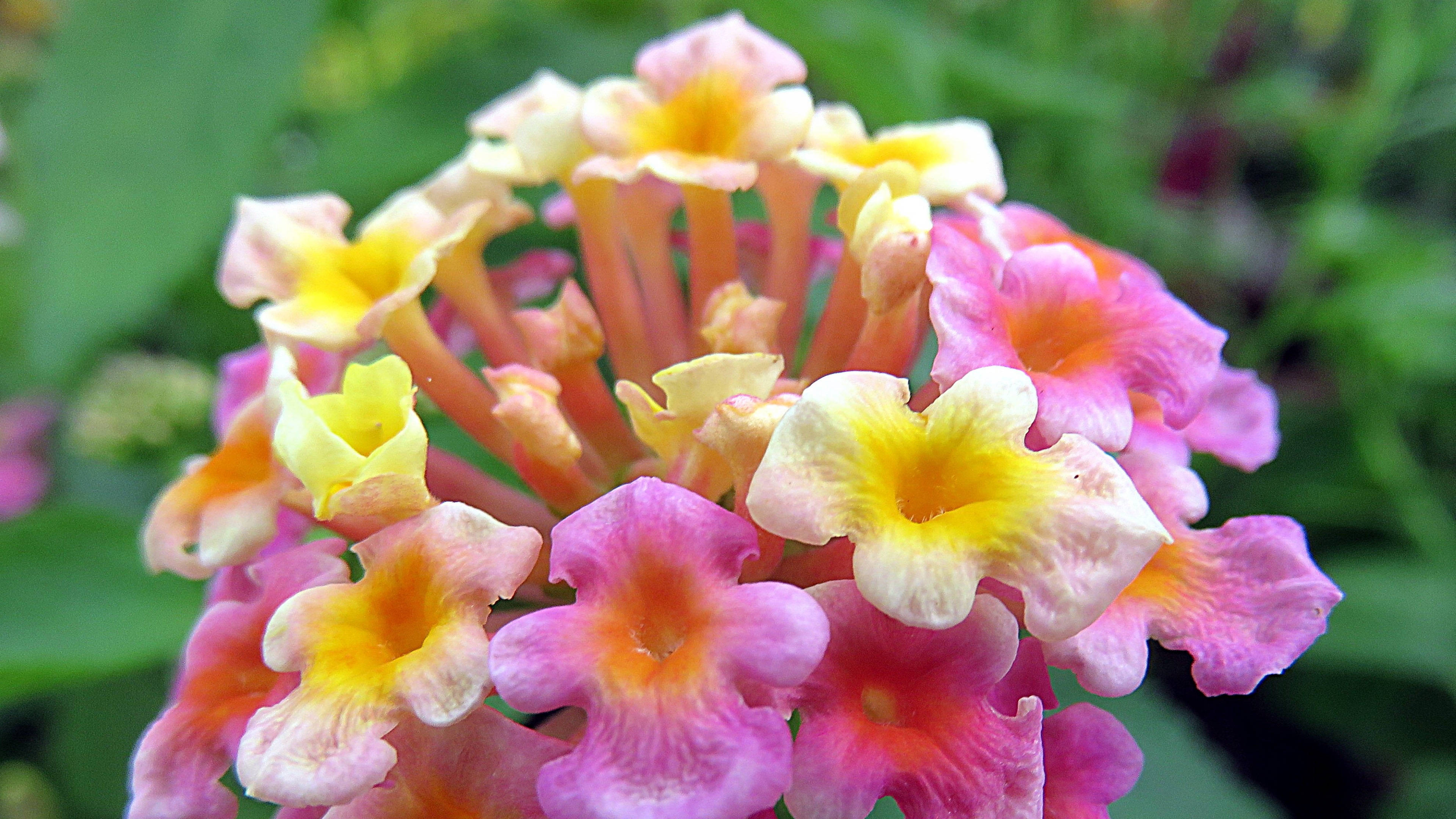 6月6日星座运势 深思熟虑 节节攀升的四大星座 都能