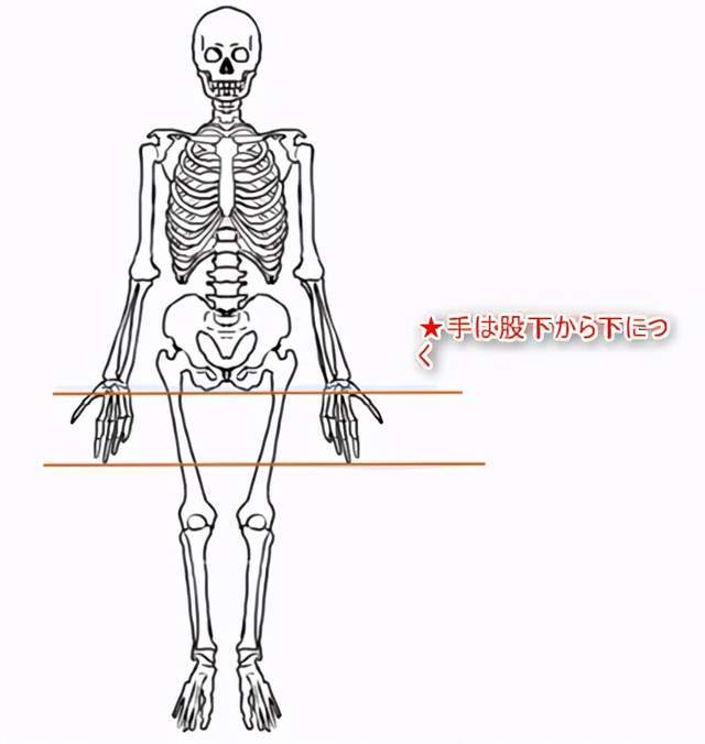 原創記住這4種人體比例就能畫好人體不怕你不會畫
