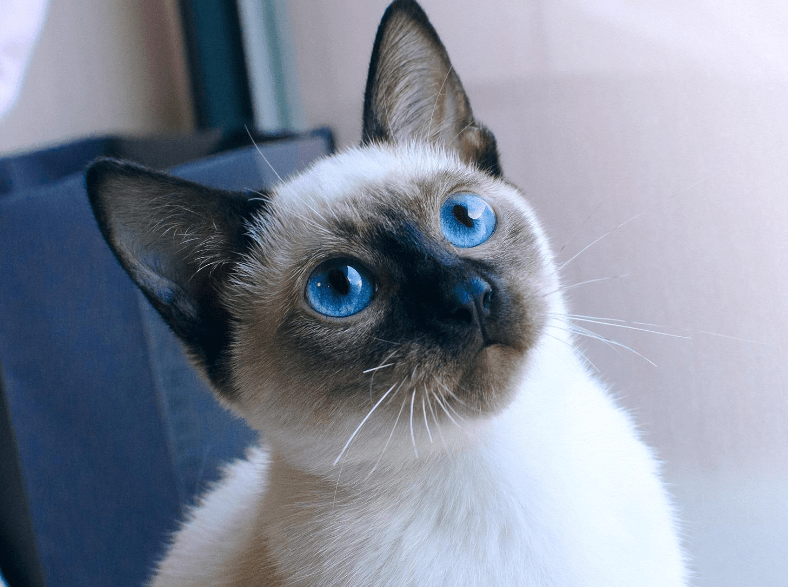 2b4f81517b234a4c8f34dbda03fe3a6b.png