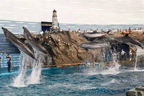 最好玩的旅游景点排行_去三亚玩,找三亚评价好的私人靠谱导游,了解三亚旅游景点排名(2)