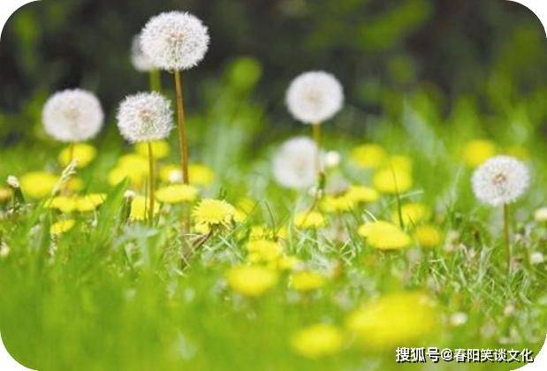 平常心是一种什么心态 c8f92e67988241d9bc3da668debcf9ad.jpeg