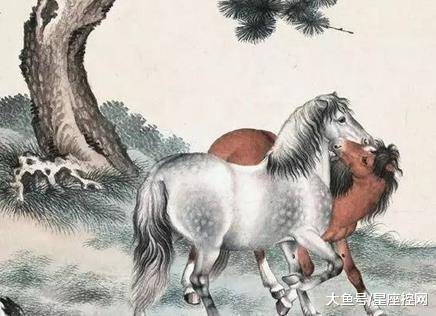 尘随别骑东西急打一个正确的生肖，词语诠释解释