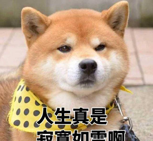 745e175a87a84664944a7fff0d597f71.jpeg