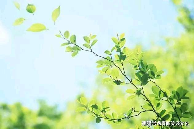 5c6d617fd8744c498748b5521d777270.jpeg