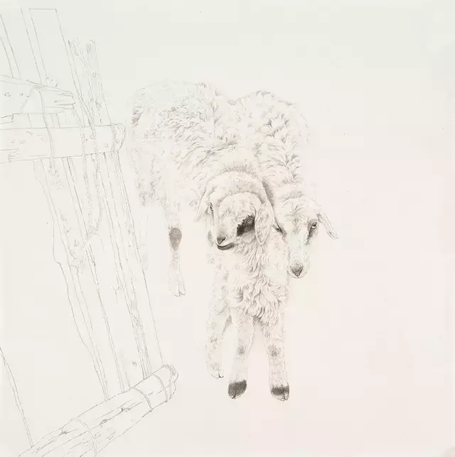 工笔羊技法步骤图_雪地