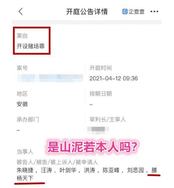 名字|山泥若被曝开设赌场将有牢狱之灾 粉丝集体狂欢：开香槟庆祝