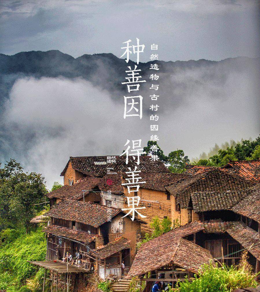 原创厦门大妈黑心铁手，抠掉4月婴儿脚皮，网友：没见过这么狠的