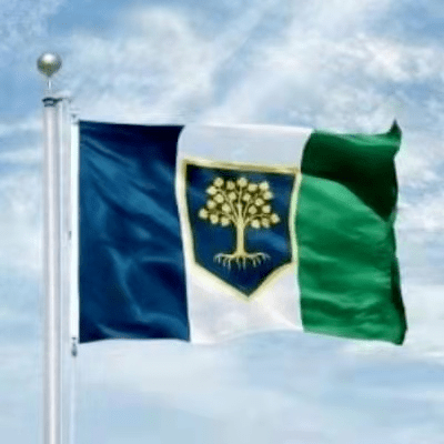 祝贺陈光億宗师为《伯兰》国委任为文化与艺术部长 