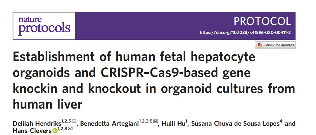 治疗|【推荐】NEPA21-让Crispr-Cas9基因编辑技术与类器官培养研究如虎添翼的利器