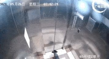 “惊悚”视频在网络上传疯了：狗子在电梯里上吊,狗子,狗狗,主人,第3张