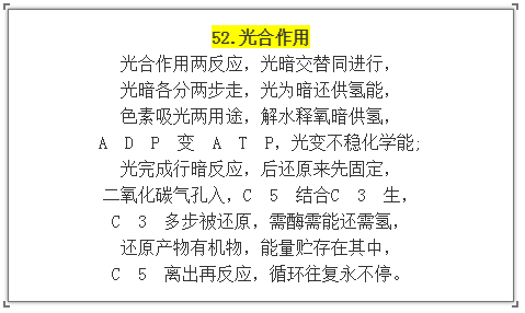c0a34d5930164e94a3288ed27e3111aa.png