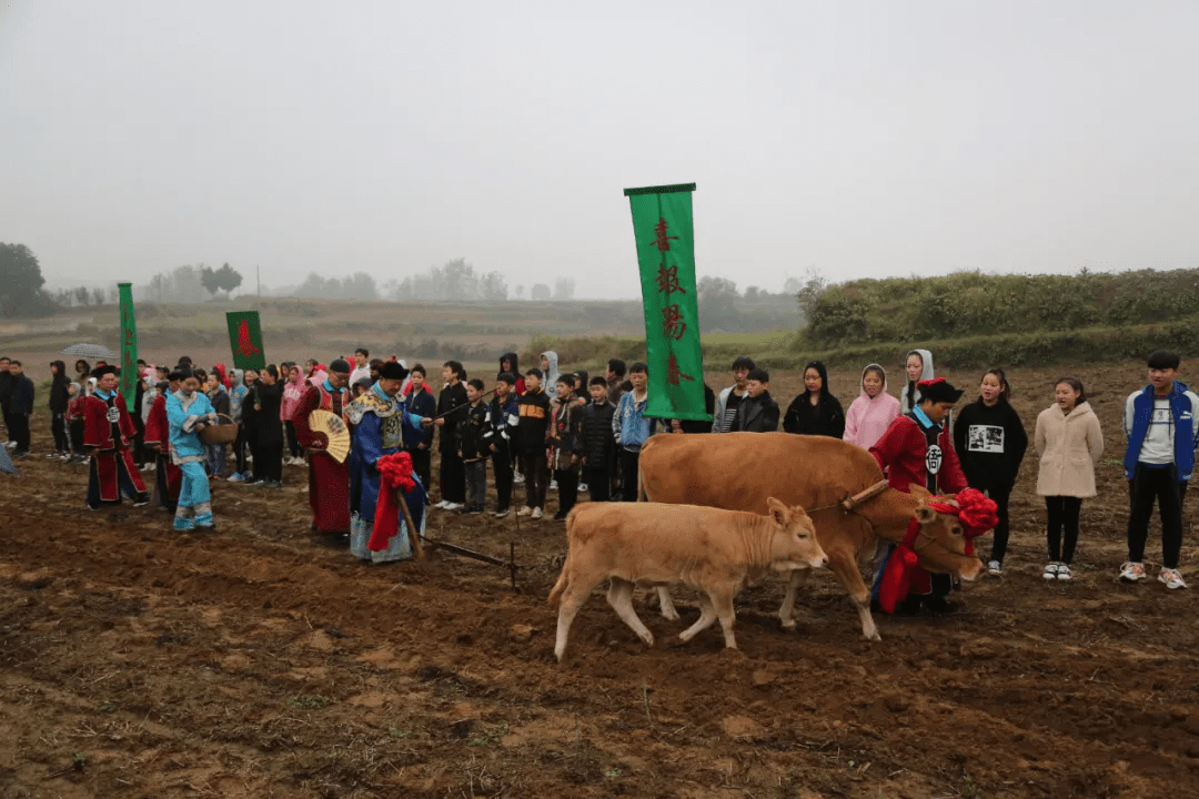 内乡县又多了一项国家级非遗项目