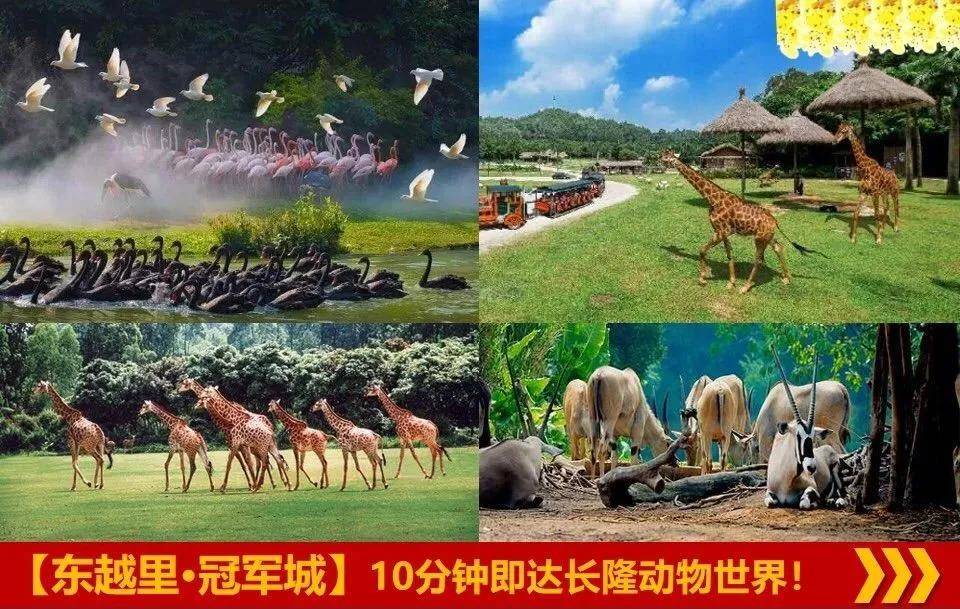 番禺东越里冠军城总价30万起收租4000起百变小户型