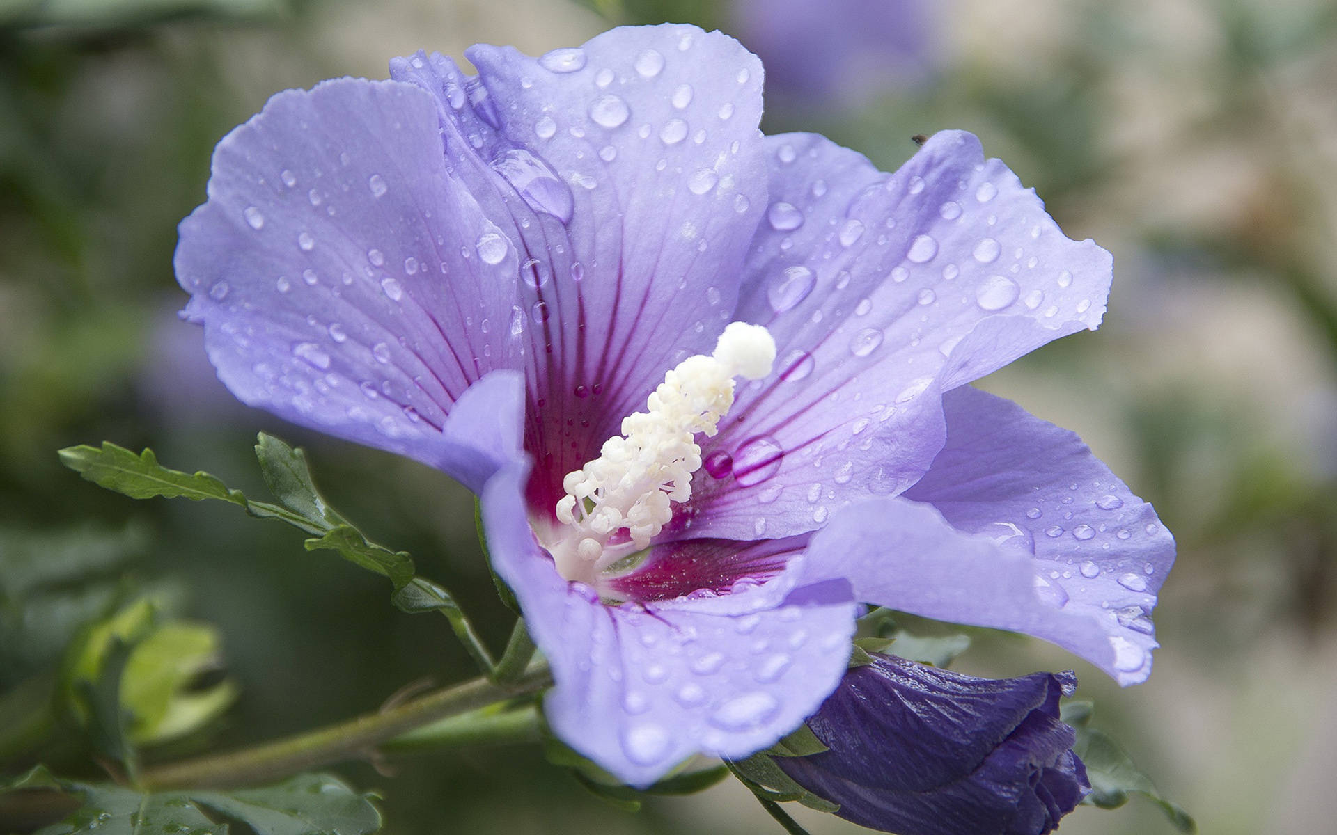 6月15日星座运势 巨蟹独立自主 天蝎集思广益 双鱼坚持到底 工作