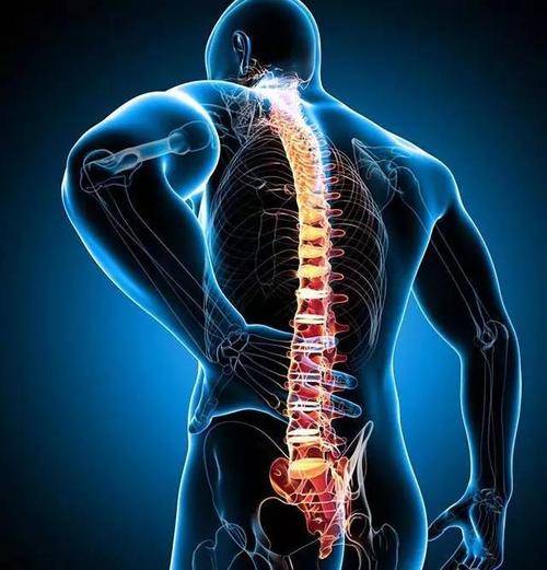 怎么样才算确诊强直性脊柱炎 2b3d6d0e3c9446b98c7e97967a9e4ec3.jpeg