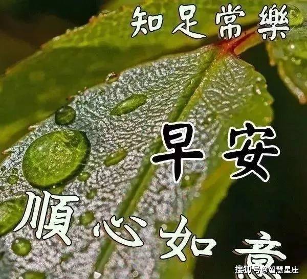 6月16日入夏后非常漂亮的美女早上好问候表情图片带字带祝福语 人生