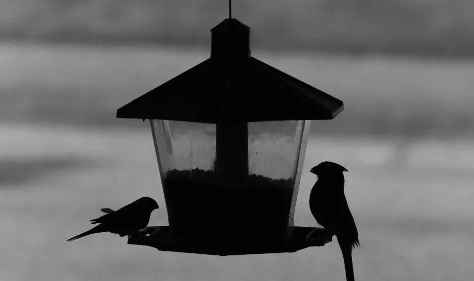 赢了康巴赫,不意味着苏泊尔的商业隐患已解除-家电圈官网