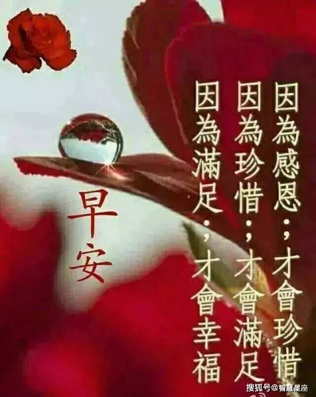 原创6月17日微信温暖人心的早上祝福语早安问候动态图