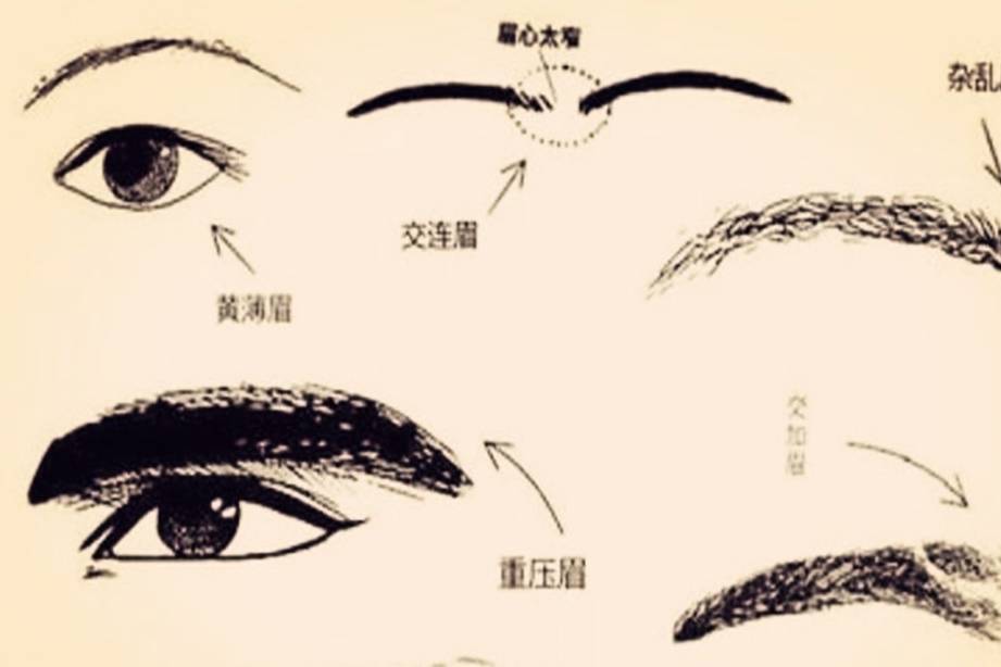 秀什么颧成语_颧颊沟在什么位置图片(3)