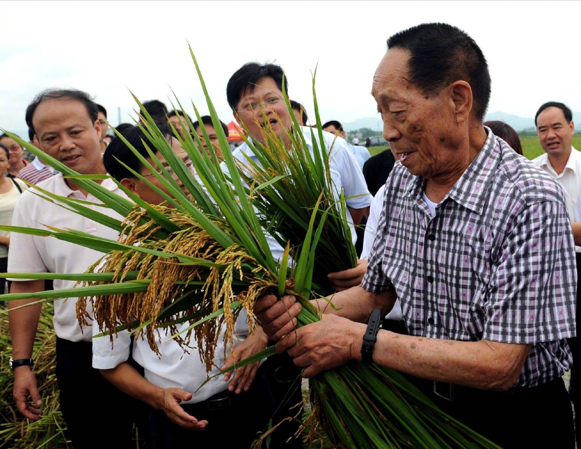 多位明星发文缅怀袁隆平出现错别字新闻节目批评：他们都在敷衍！