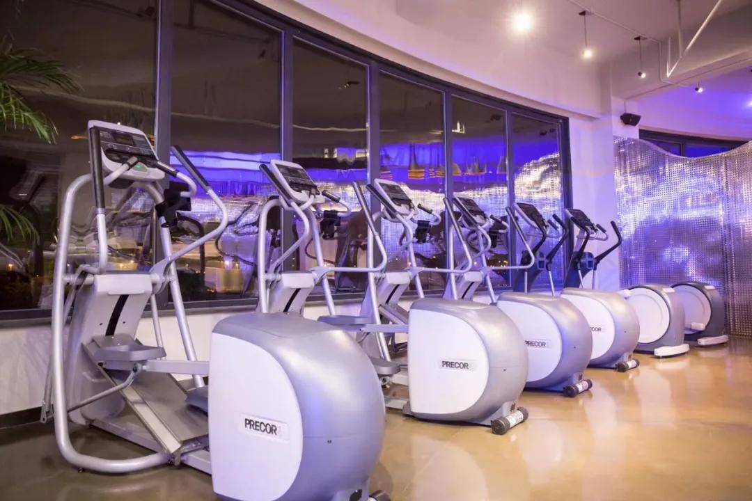 专业缔造实力《dms冠军杯健美竞技训练营》助你驰骋健美赛场