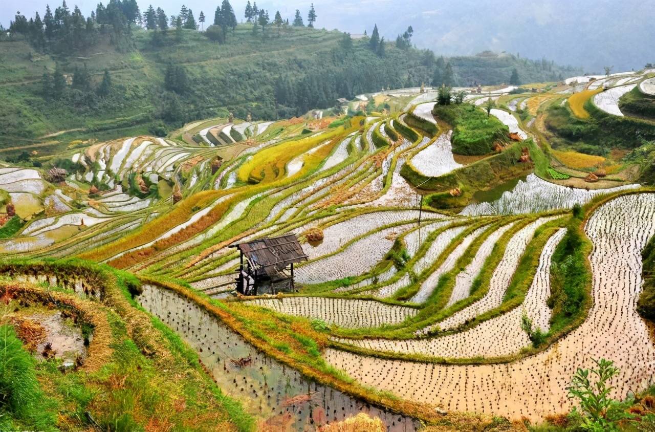 中国10大最美梯田,不一样的田园仙境