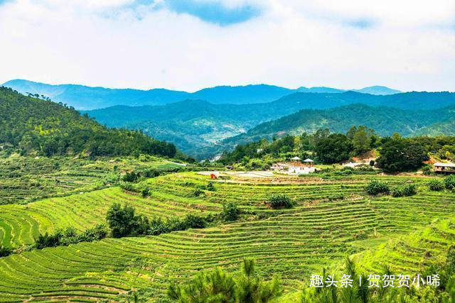 梯田图片一年四季 88adea6e752d440eb03c91e744818f58.jpeg