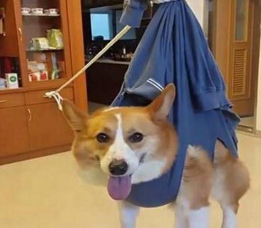 f0851a8fac464b27914c56f6fe99a5ce.jpeg