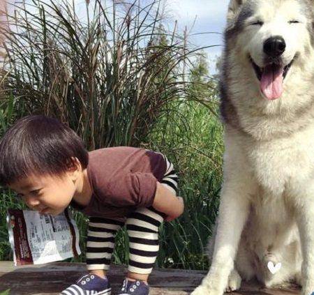 什么宠物最适合小朋友养 8577a8c9f5af462e832b423819ea2cea.jpeg