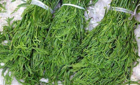 原创女性养生不妨多吃一菜大肚子平了腰不痛了色斑淡了